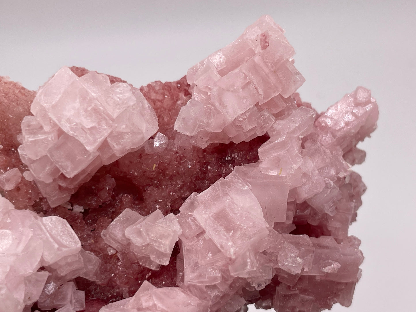 Halite Crystal Cluster || Raw Halite Cluster || Pink Halite - Searles Lake