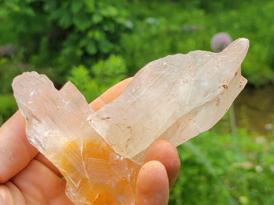 Terminated Golden Phantom Selenite Crystal || Sacral Selenite || Utah Selenite Slices || Master Healer Crystal