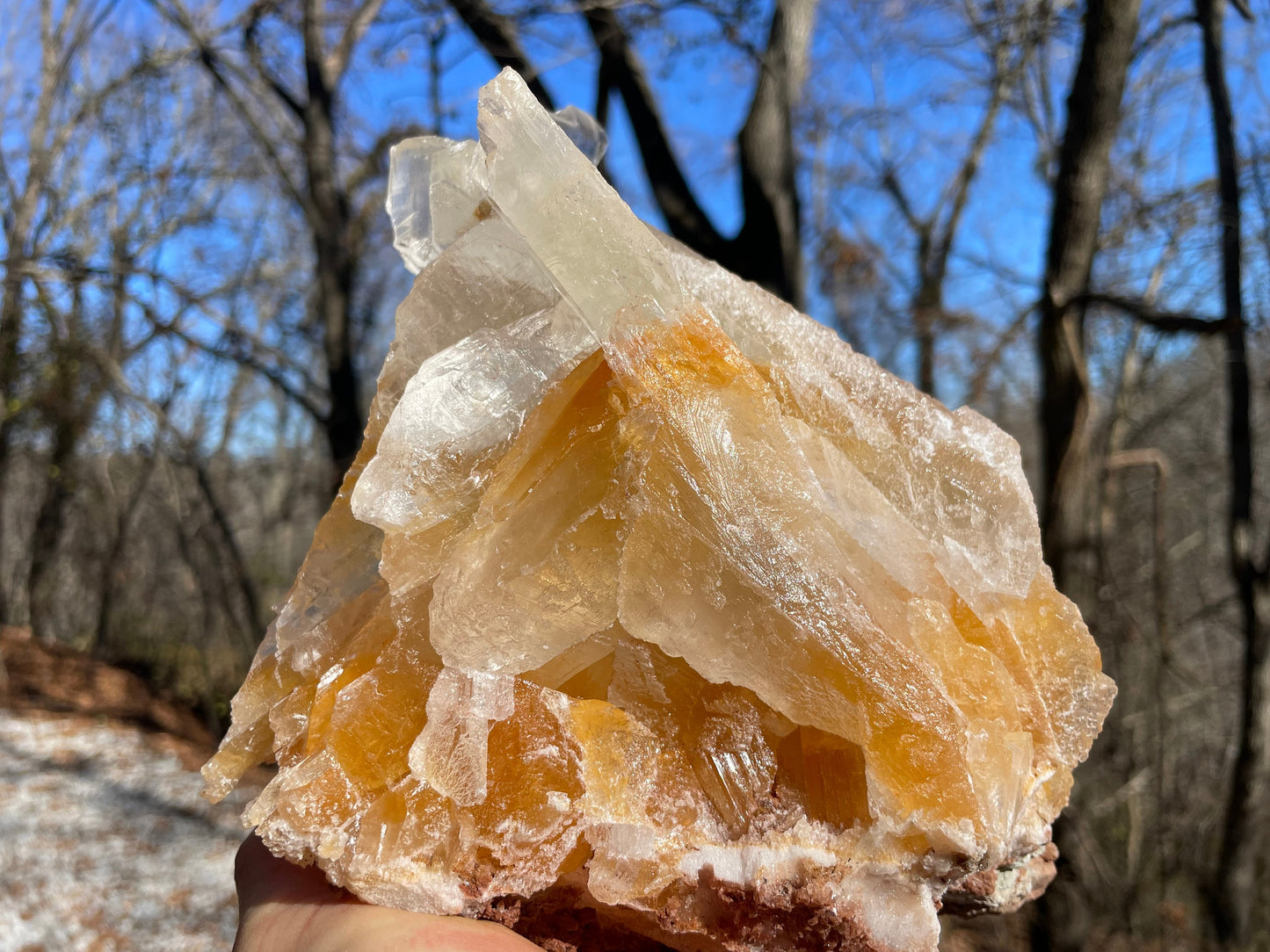 Golden Phantom Selenite Crystal Cluster || Sacral Selenite || Utah Selenite Cluster || Master Healer Crystal