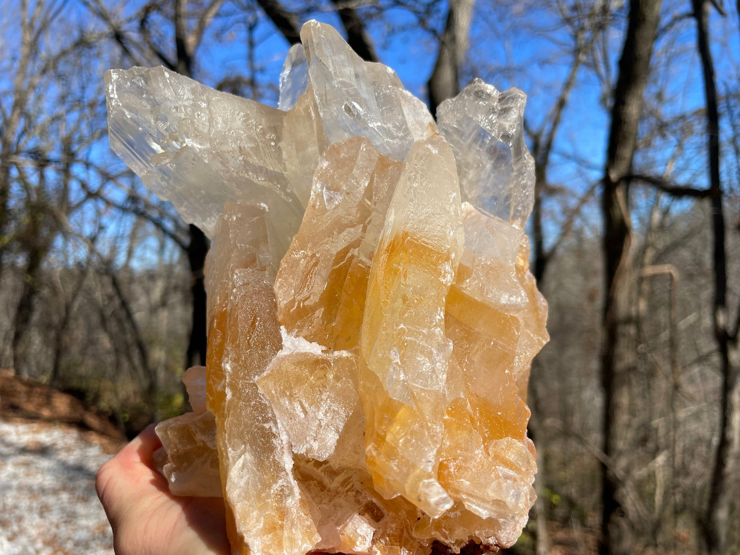 Golden Phantom Selenite Crystal Cluster || Sacral Selenite || Utah Selenite Cluster || Master Healer Crystal