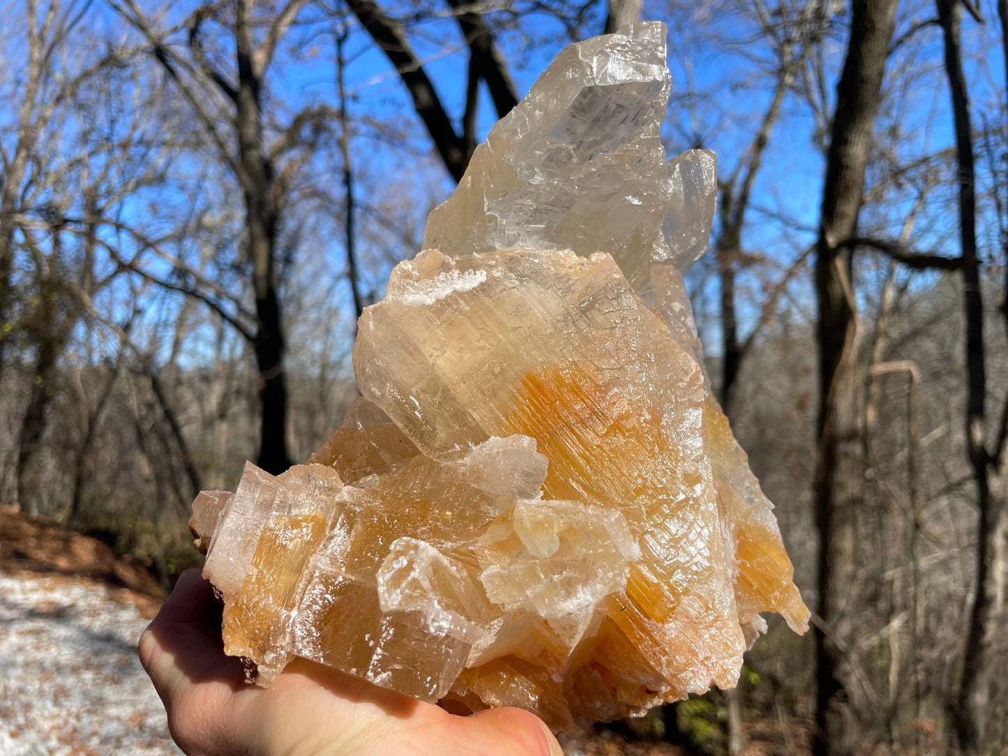 Golden Phantom Selenite Crystal Cluster || Sacral Selenite || Utah Selenite Cluster || Master Healer Crystal