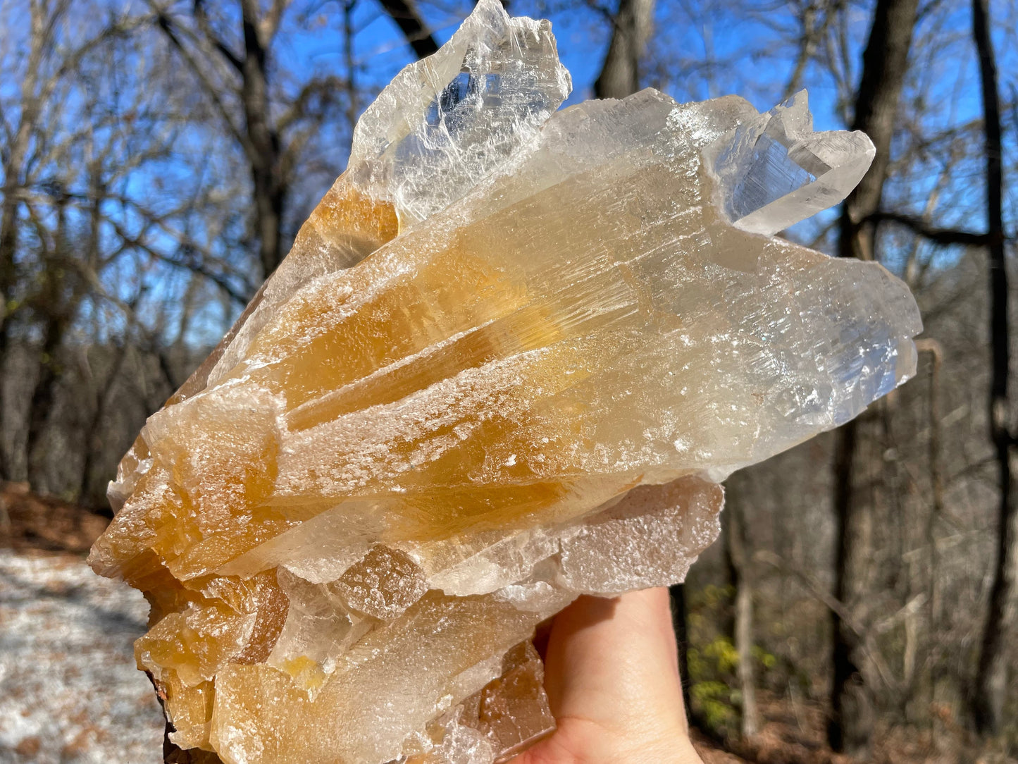 Golden Phantom Selenite Crystal Cluster || Sacral Selenite || Utah Selenite Cluster || Master Healer Crystal