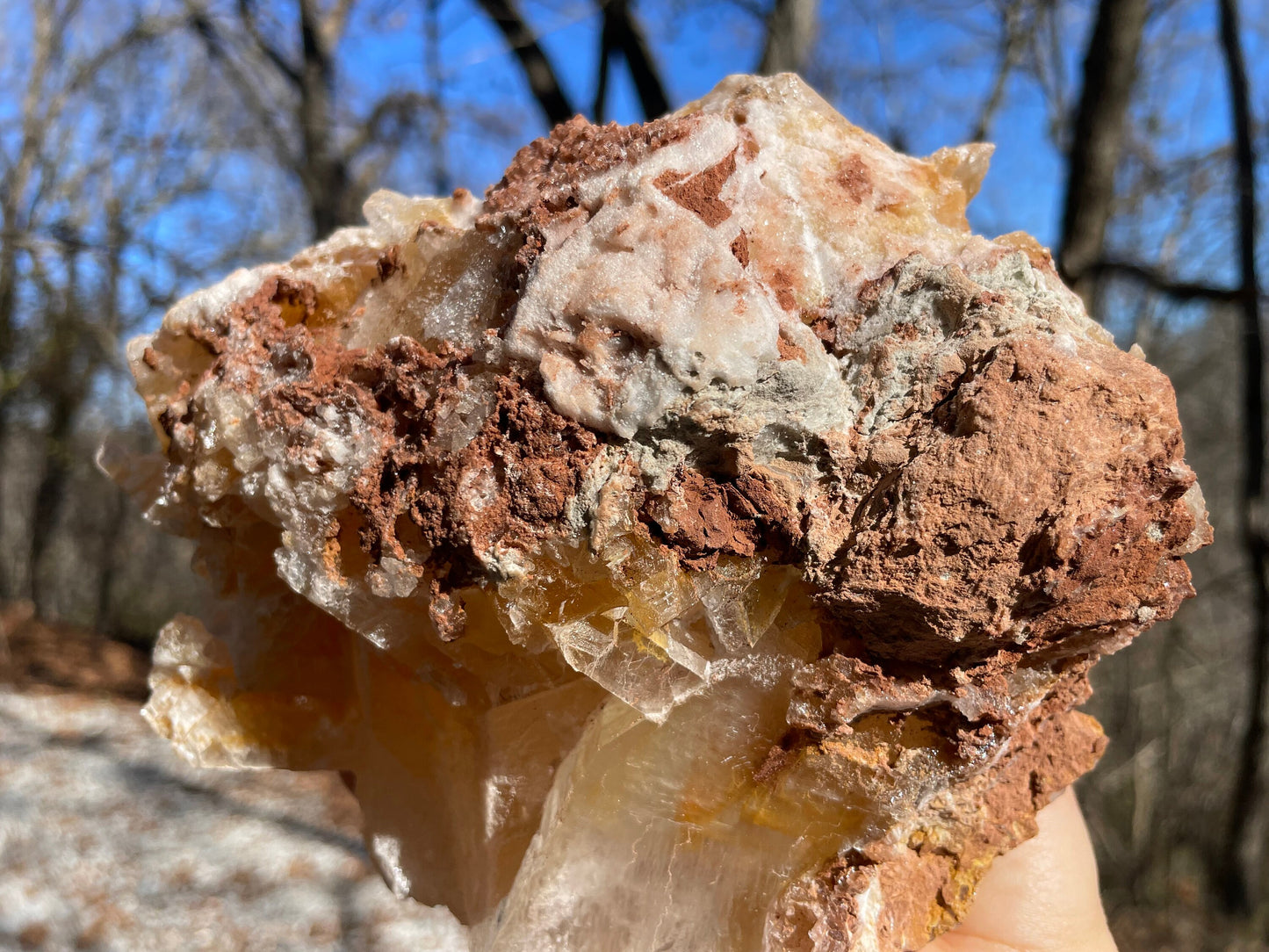 Golden Phantom Selenite Crystal Cluster || Sacral Selenite || Utah Selenite Cluster || Master Healer Crystal