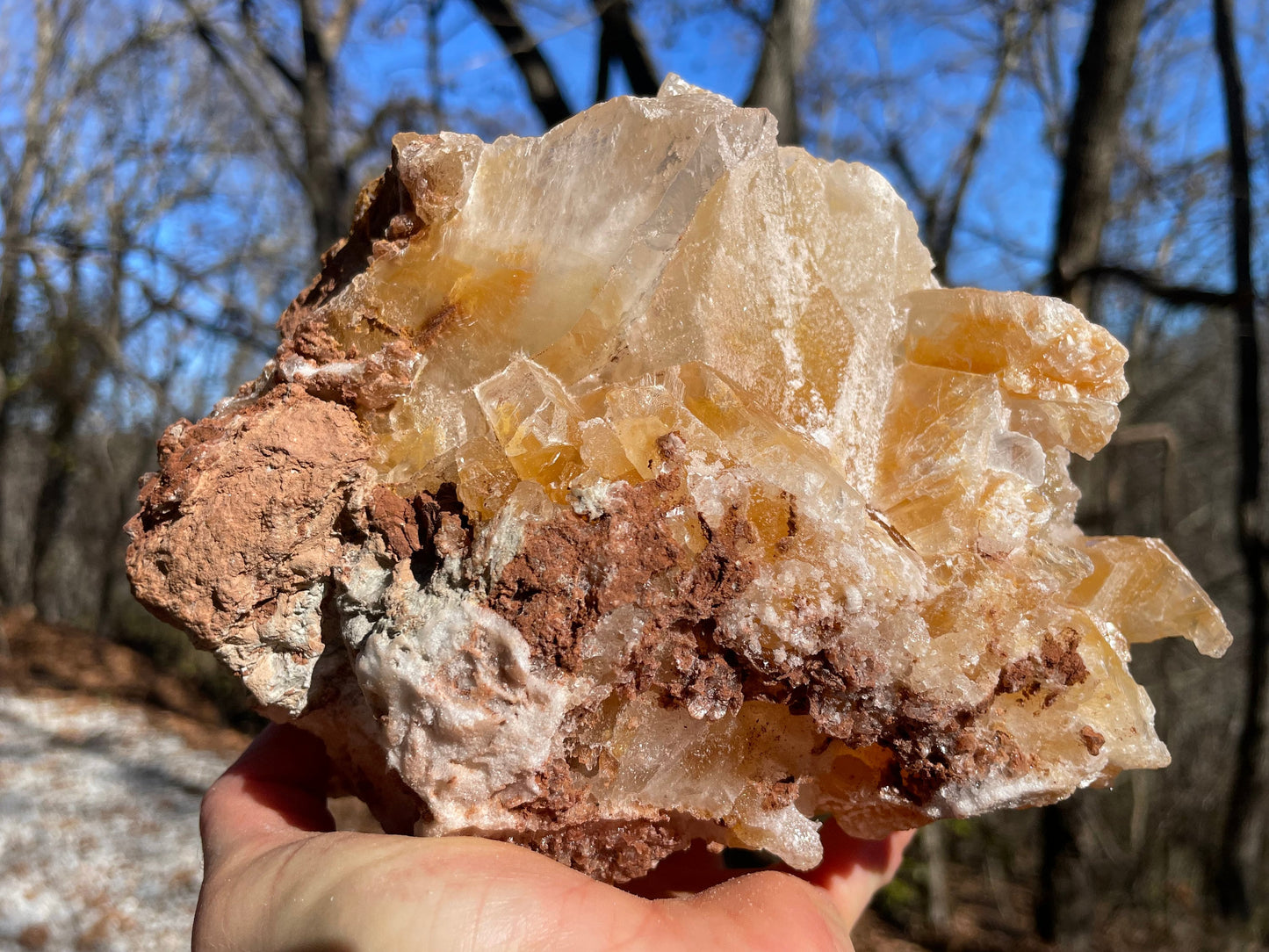 Golden Phantom Selenite Crystal Cluster || Sacral Selenite || Utah Selenite Cluster || Master Healer Crystal