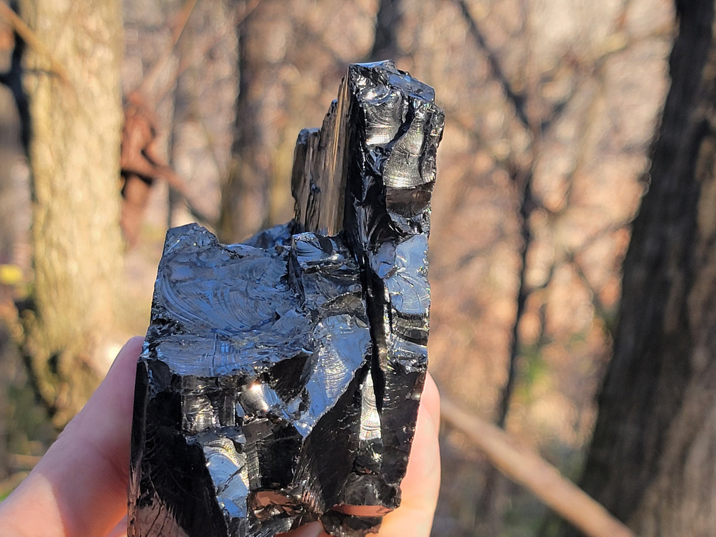 Raw Elite Shungite Crystal || Columbian Shungite || Huge Raw Elite Shungite || New Find Raquirite Shungite || Shungite Stone