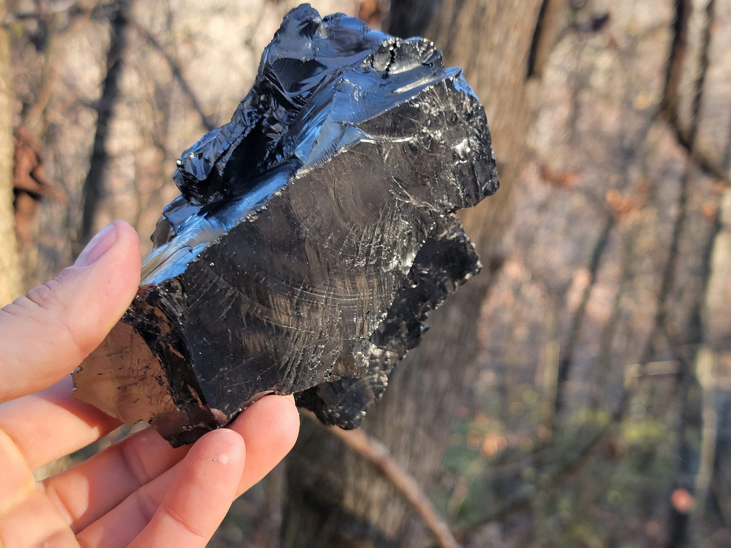 Raw Elite Shungite Crystal || Columbian Shungite || Huge Raw Elite Shungite || New Find Raquirite Shungite || Shungite Stone