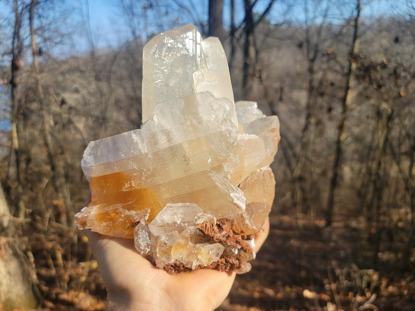 Golden Phantom Selenite Crystal Cluster || Sacral Selenite || Utah Selenite Cluster || Master Healer Crystal