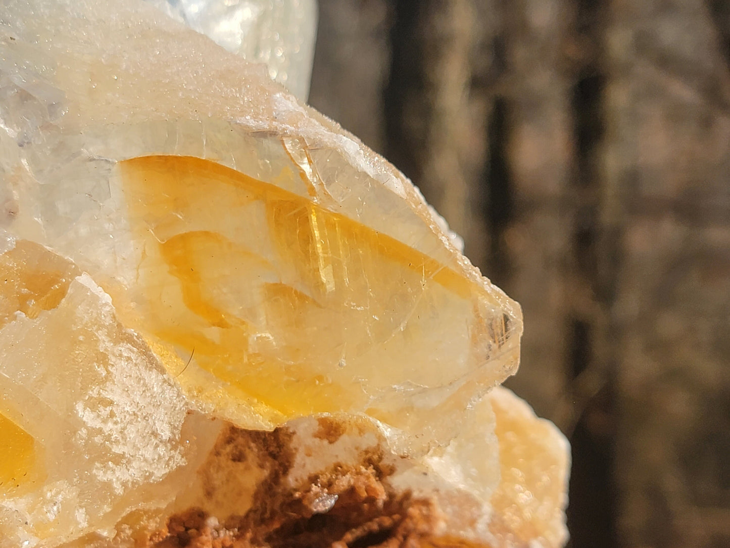 Golden Phantom Selenite Crystal Cluster || Sacral Selenite || Utah Selenite Cluster || Master Healer Crystal