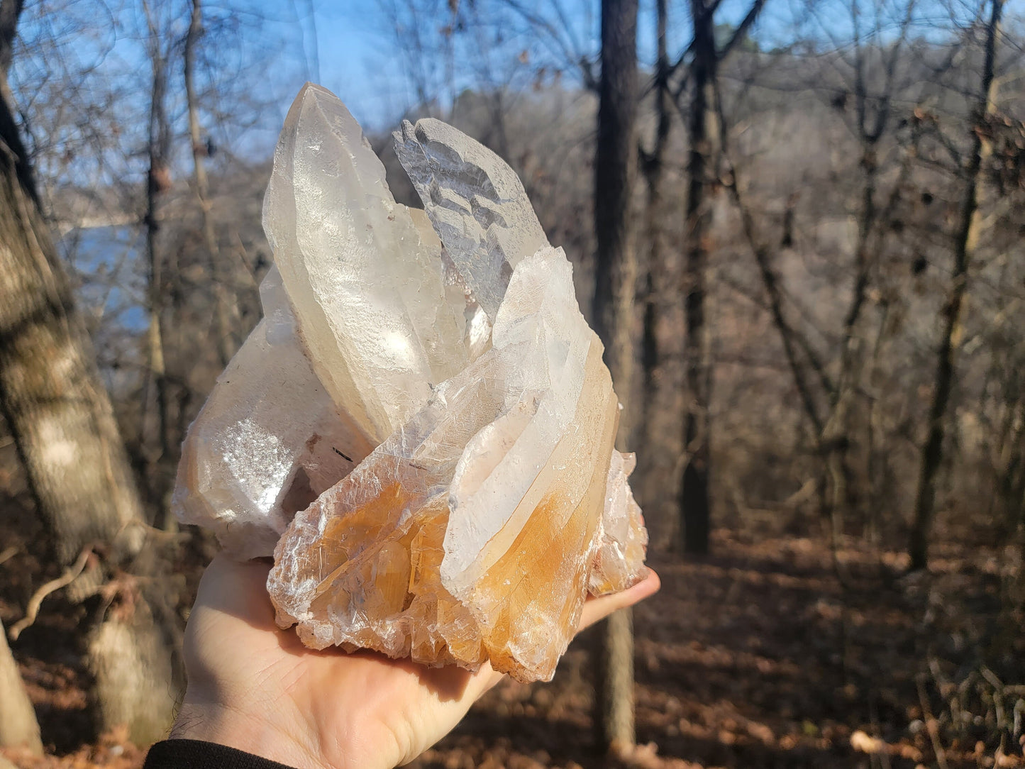 Golden Phantom Selenite Crystal Cluster || Sacral Selenite || Utah Selenite Cluster || Master Healer Crystal