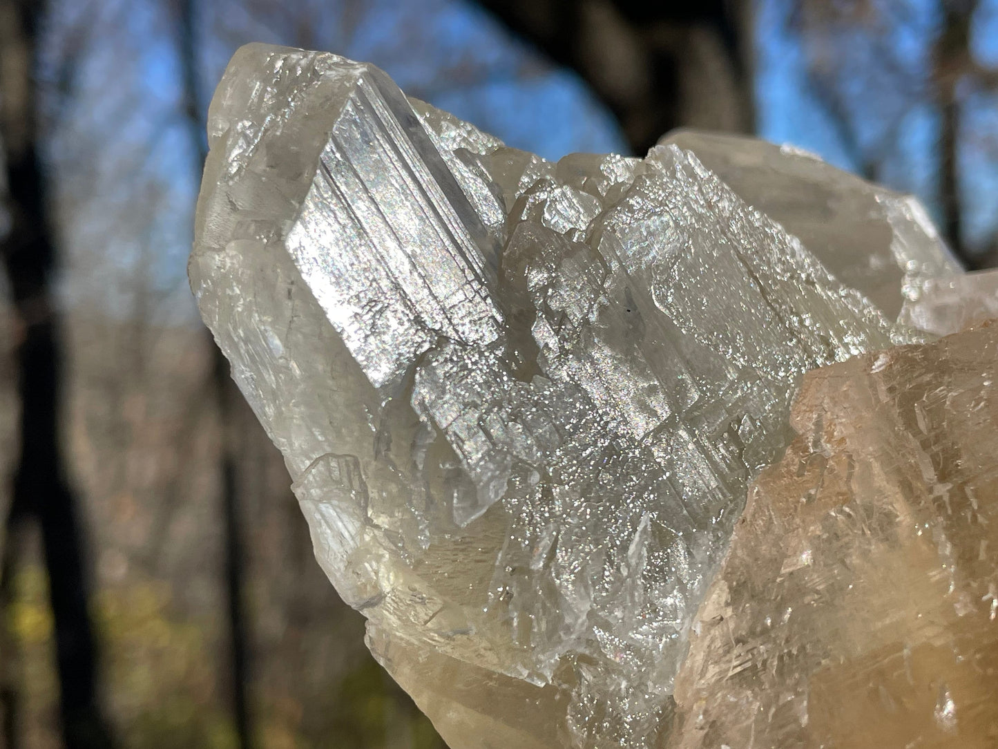 Golden Phantom Selenite Crystal Cluster || Sacral Selenite || Utah Selenite Cluster || Master Healer Crystal