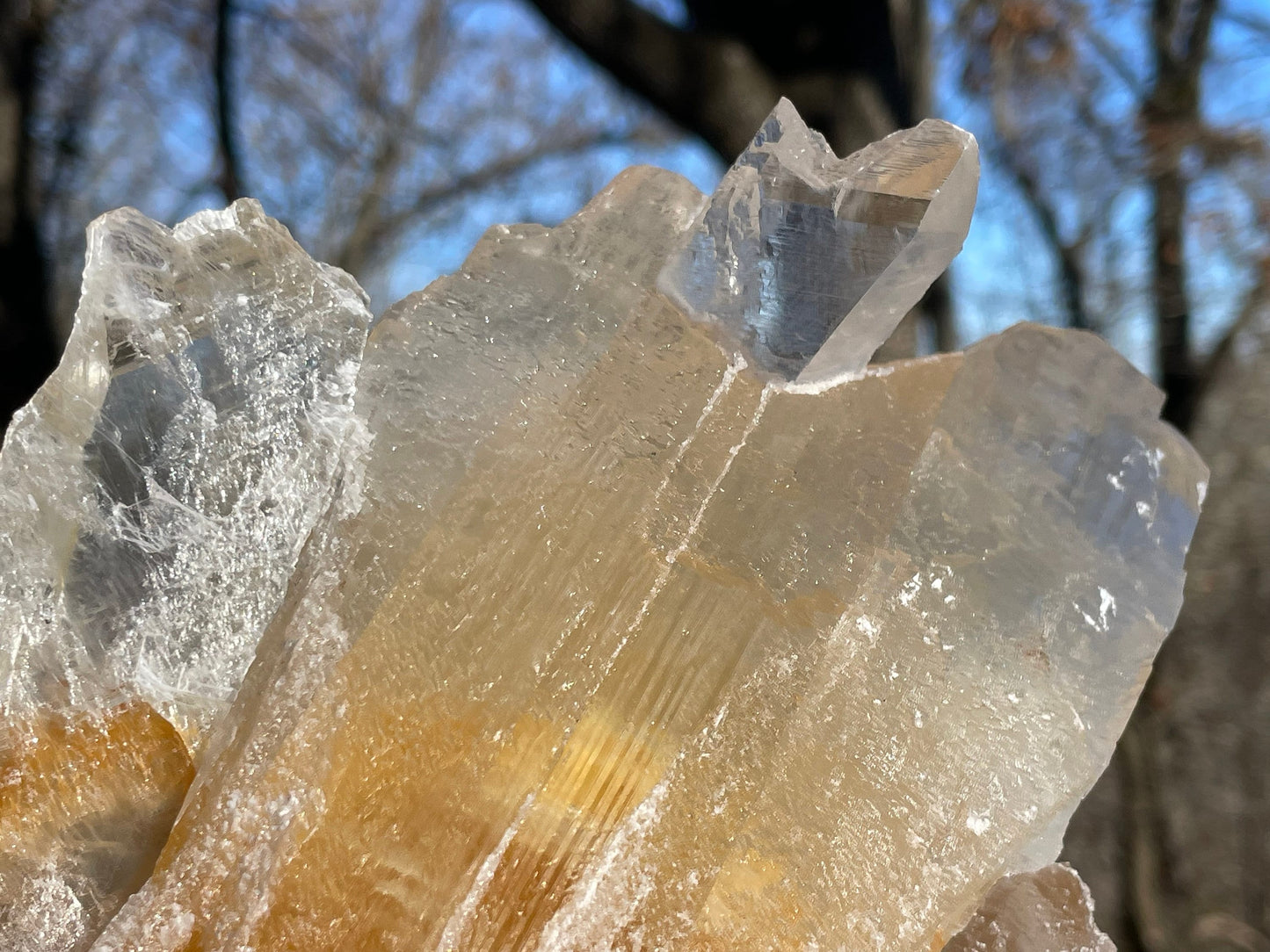 Golden Phantom Selenite Crystal Cluster || Sacral Selenite || Utah Selenite Cluster || Master Healer Crystal