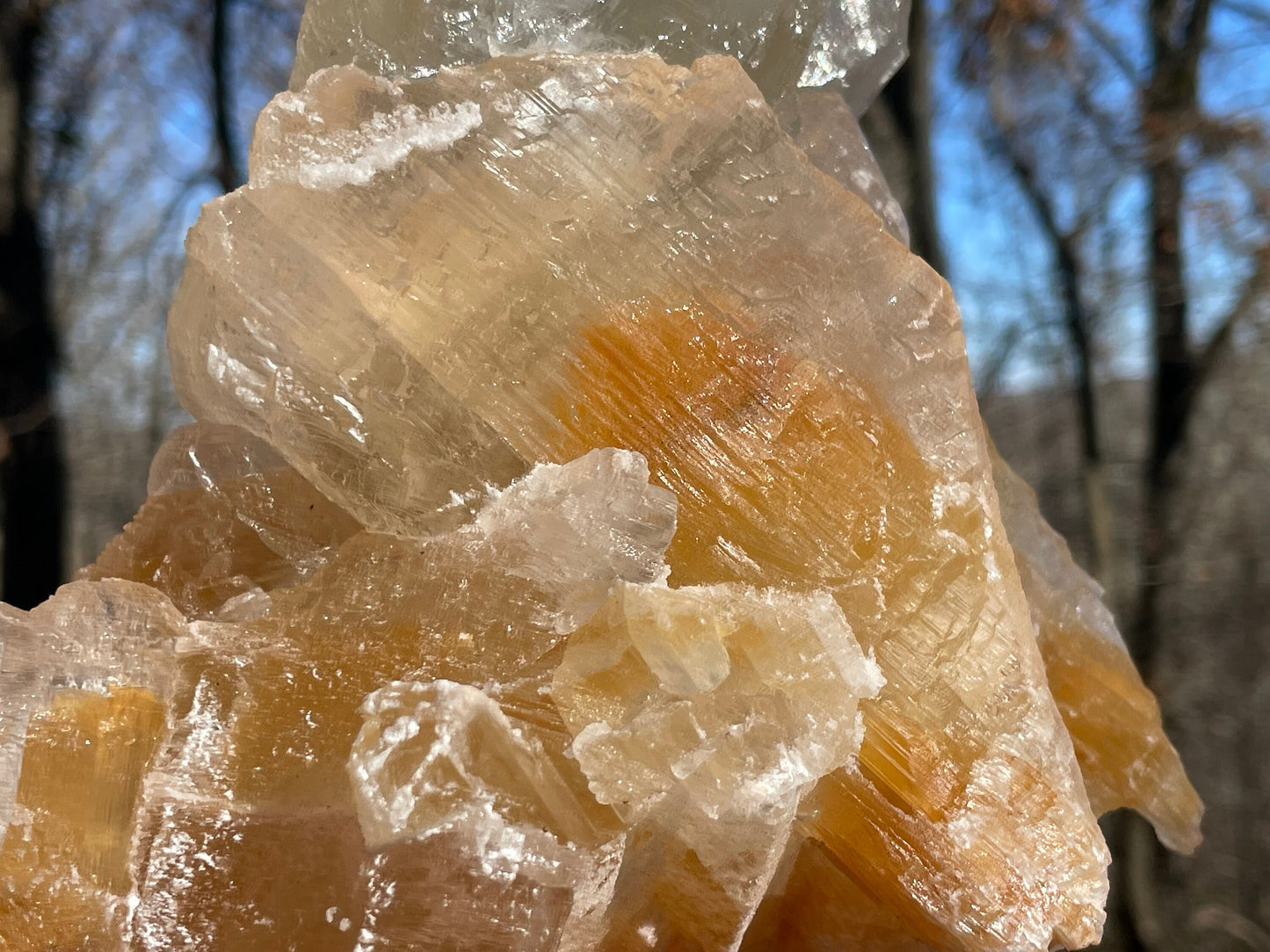 Golden Phantom Selenite Crystal Cluster || Sacral Selenite || Utah Selenite Cluster || Master Healer Crystal