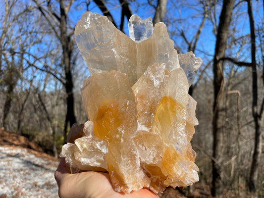 Golden Phantom Selenite Crystal Cluster || Sacral Selenite || Utah Selenite Cluster || Master Healer Crystal