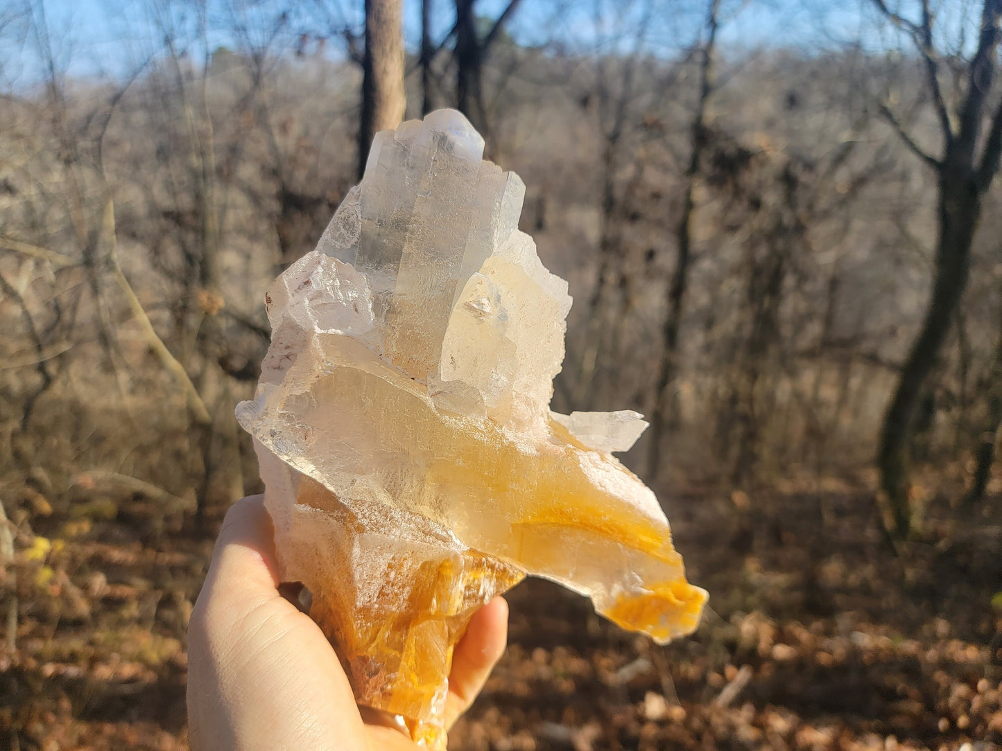 Golden Phantom Selenite Crystal Cluster || Sacral Selenite || Utah Selenite Cluster || Master Healer Crystal