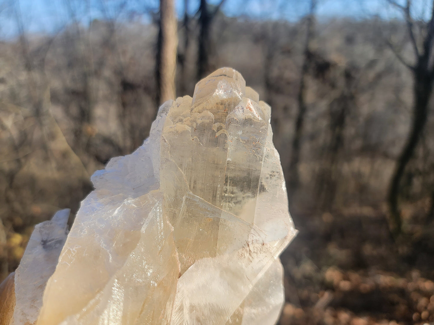 Golden Phantom Selenite Crystal Cluster || Sacral Selenite || Utah Selenite Cluster || Master Healer Crystal