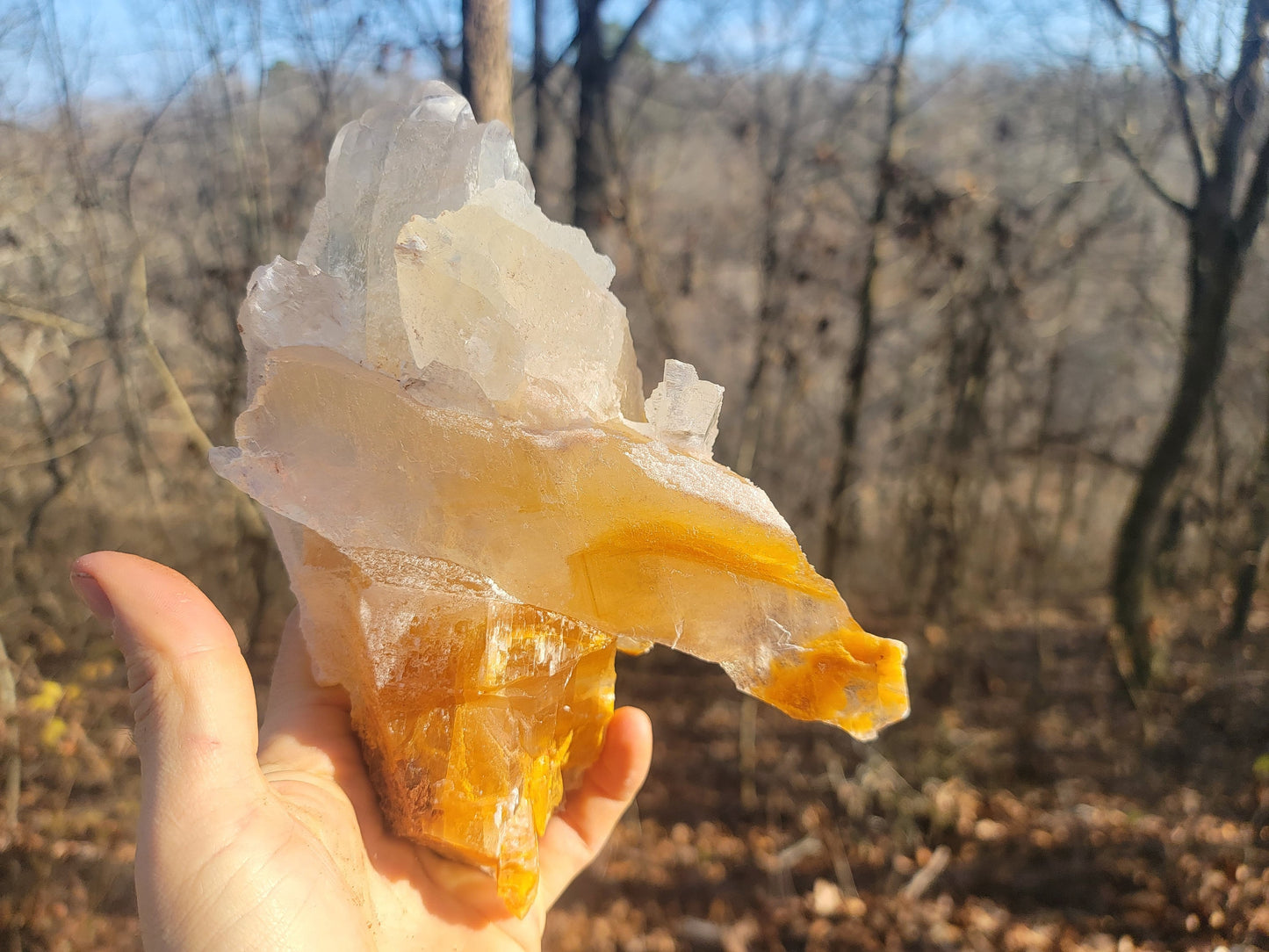 Golden Phantom Selenite Crystal Cluster || Sacral Selenite || Utah Selenite Cluster || Master Healer Crystal