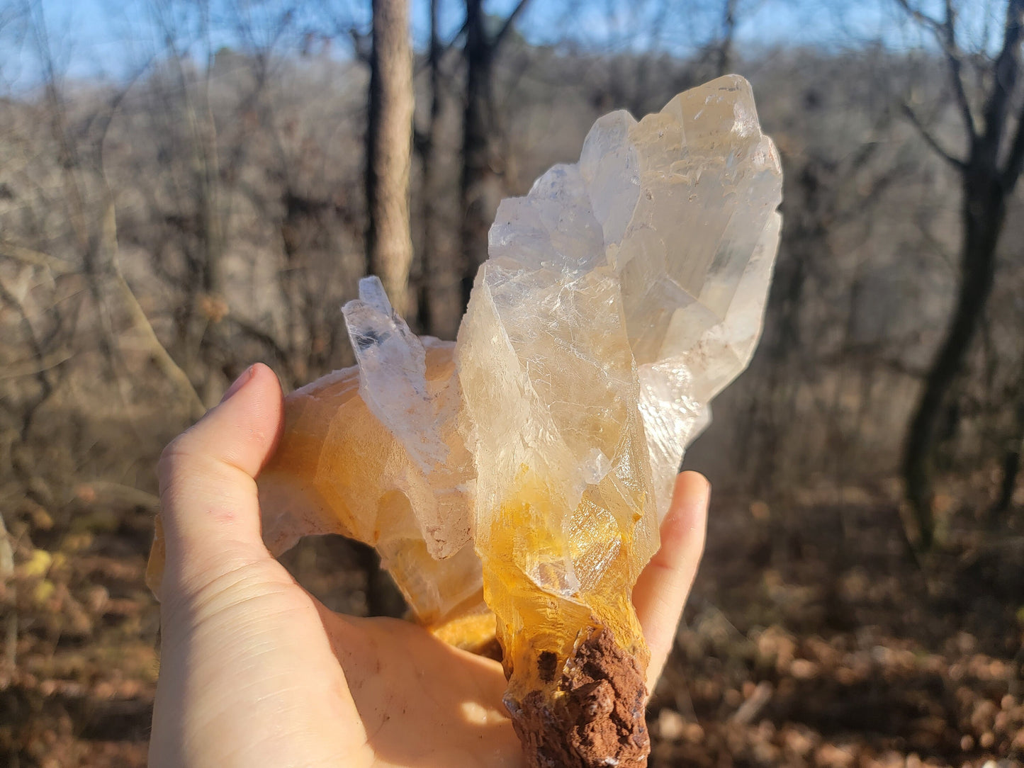 Golden Phantom Selenite Crystal Cluster || Sacral Selenite || Utah Selenite Cluster || Master Healer Crystal