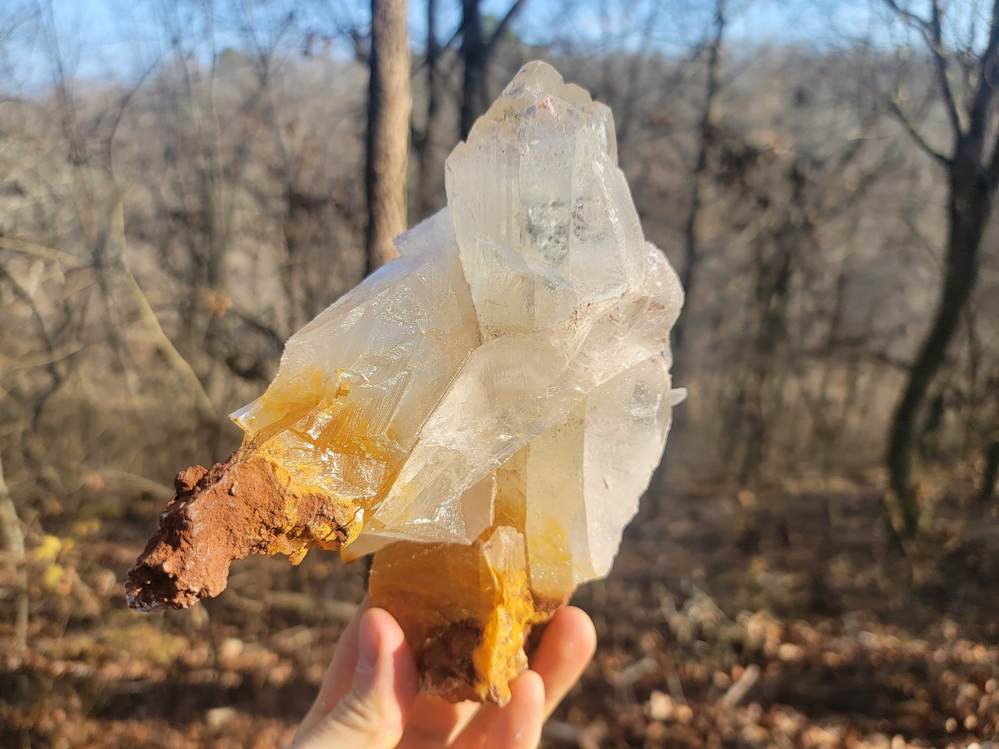 Golden Phantom Selenite Crystal Cluster || Sacral Selenite || Utah Selenite Cluster || Master Healer Crystal