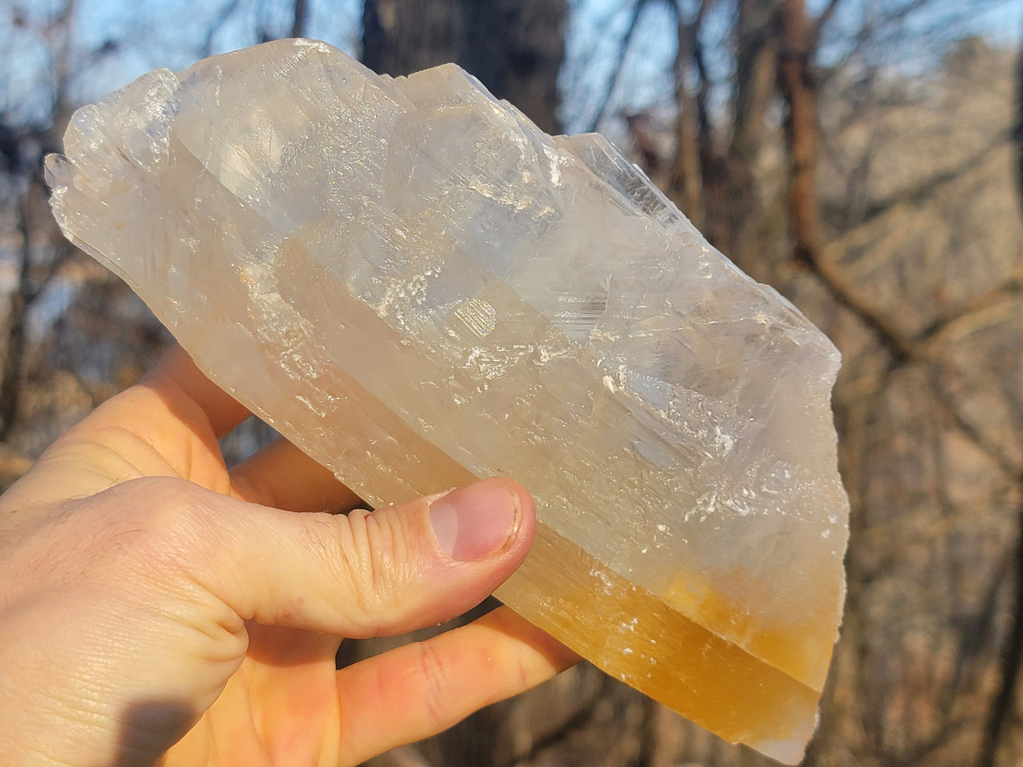 Golden Phantom Selenite Crystal Cluster || Sacral Selenite || Utah Selenite Slices || Master Healer Crystal