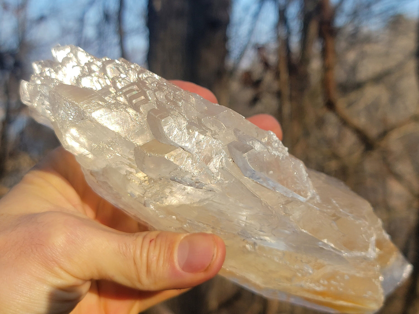 Golden Phantom Selenite Crystal Cluster || Sacral Selenite || Utah Selenite Slices || Master Healer Crystal