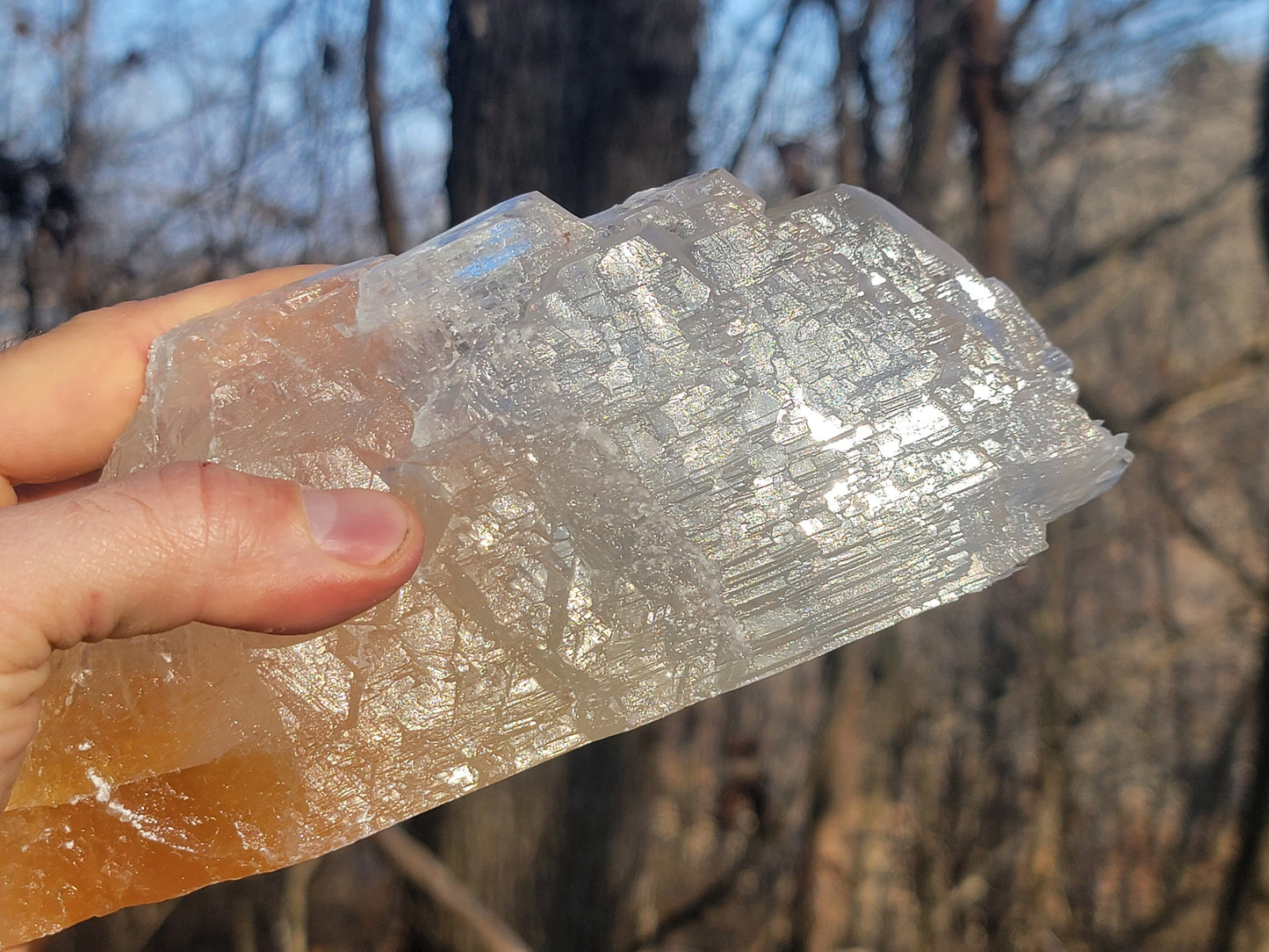 Golden Phantom Selenite Crystal Cluster || Sacral Selenite || Utah Selenite Slices || Master Healer Crystal