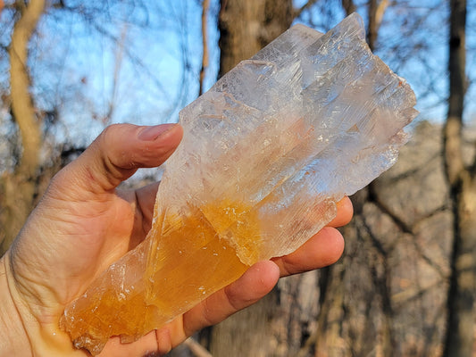 Golden Phantom Selenite Crystal Cluster || Sacral Selenite || Utah Selenite Slices || Master Healer Crystal