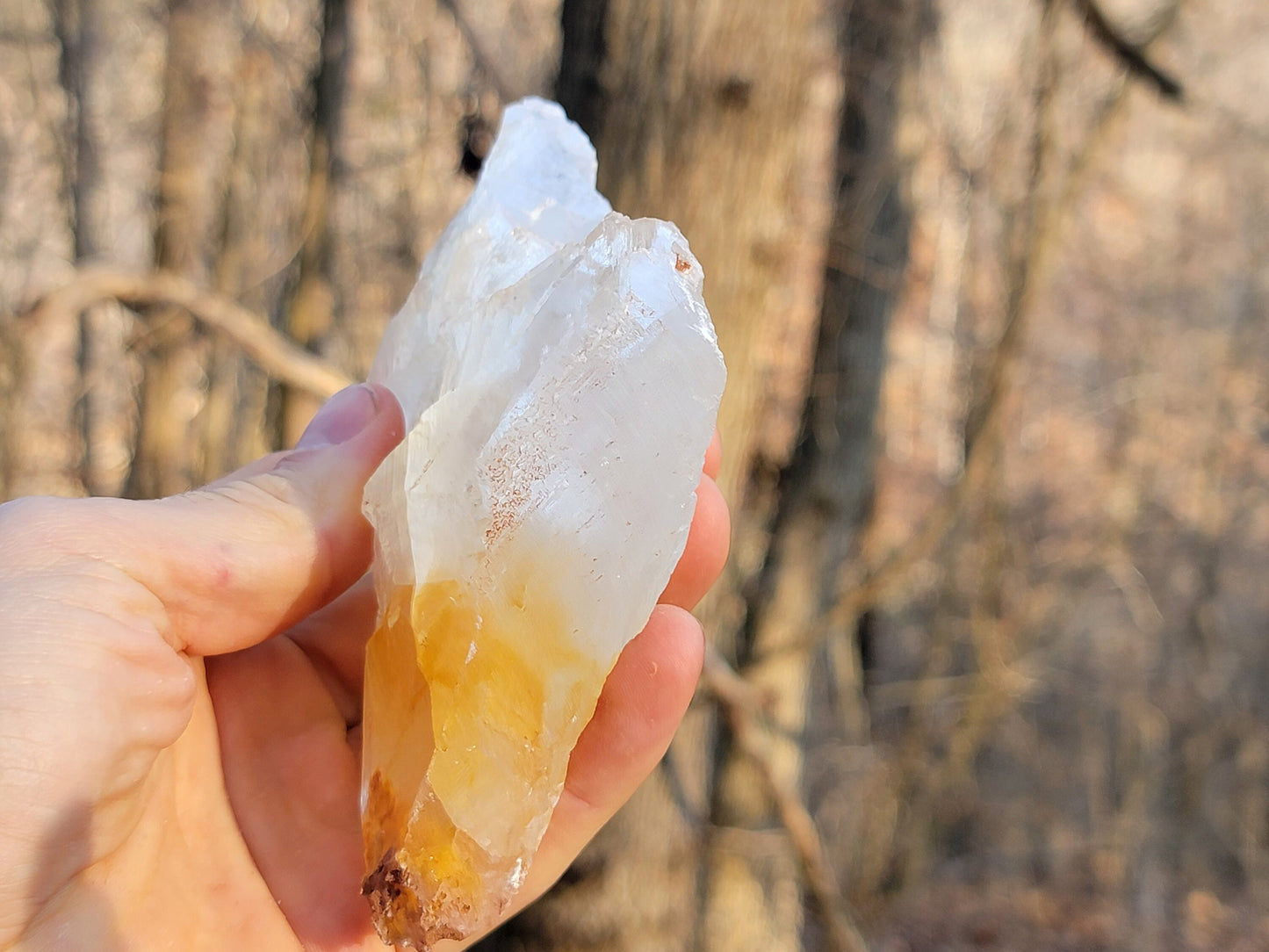 Golden Phantom Selenite Crystal Cluster || Sacral Selenite || Utah Selenite Slices || Master Healer Crystal