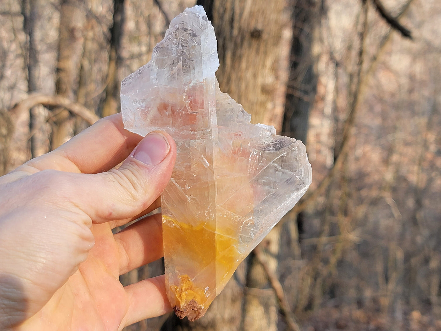 Golden Phantom Selenite Crystal Cluster || Sacral Selenite || Utah Selenite Slices || Master Healer Crystal