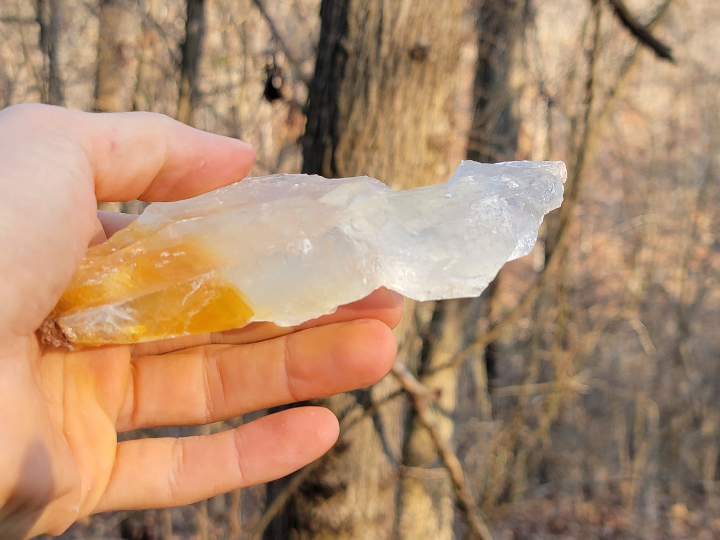 Golden Phantom Selenite Crystal Cluster || Sacral Selenite || Utah Selenite Slices || Master Healer Crystal