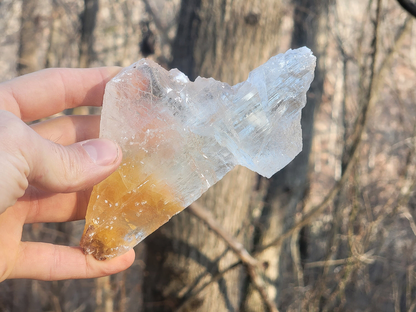 Golden Phantom Selenite Crystal Cluster || Sacral Selenite || Utah Selenite Slices || Master Healer Crystal