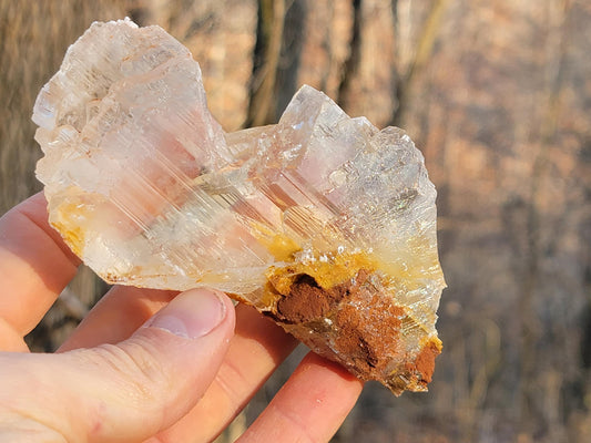 Golden Phantom Selenite Crystal Cluster || Sacral Selenite || Utah Selenite Slices || Master Healer Crystal