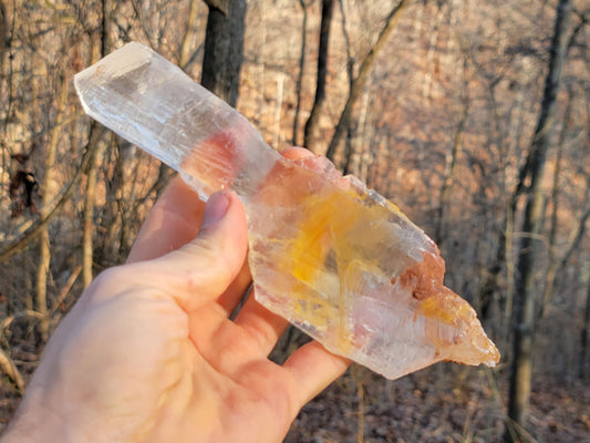 Golden Phantom Selenite Crystal Cluster || Sacral Selenite || Utah Selenite Slices || Master Healer Crystal