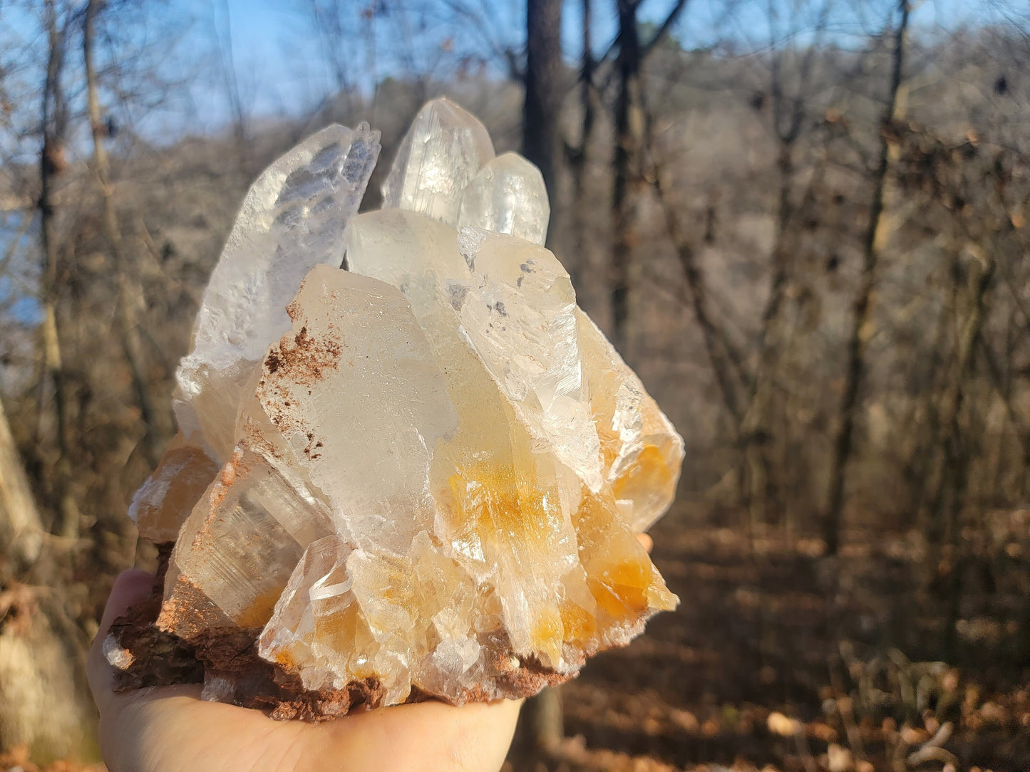 Golden Phantom Selenite Crystal Cluster || Sacral Selenite || Utah Selenite Cluster || Master Healer Crystal