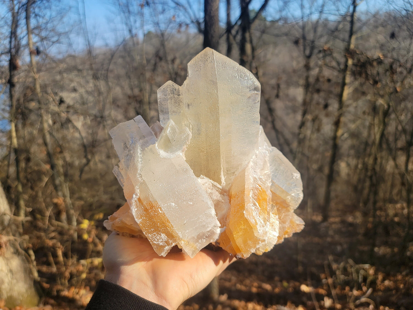 Golden Phantom Selenite Crystal Cluster || Sacral Selenite || Utah Selenite Cluster || Master Healer Crystal