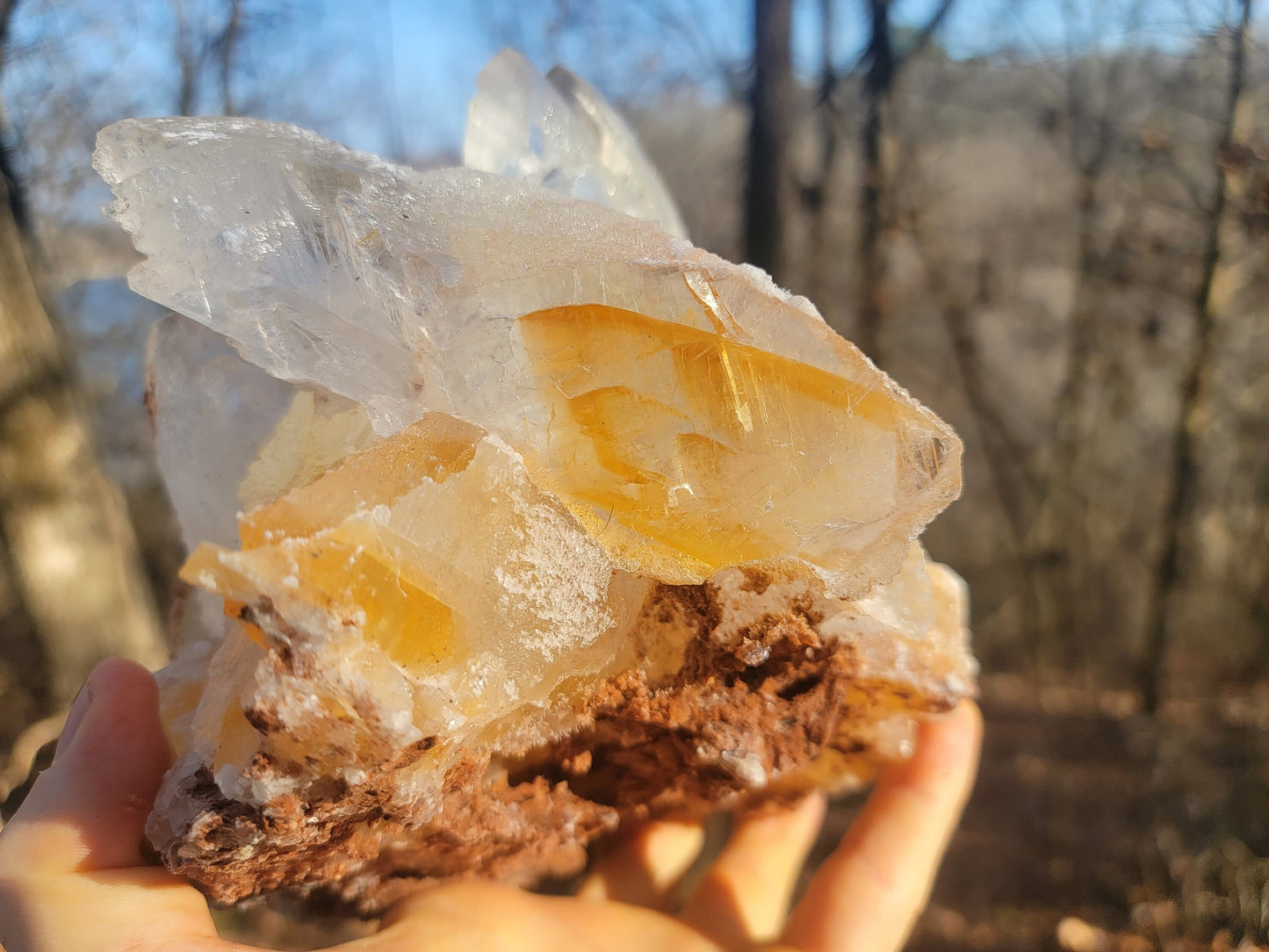 Golden Phantom Selenite Crystal Cluster || Sacral Selenite || Utah Selenite Cluster || Master Healer Crystal