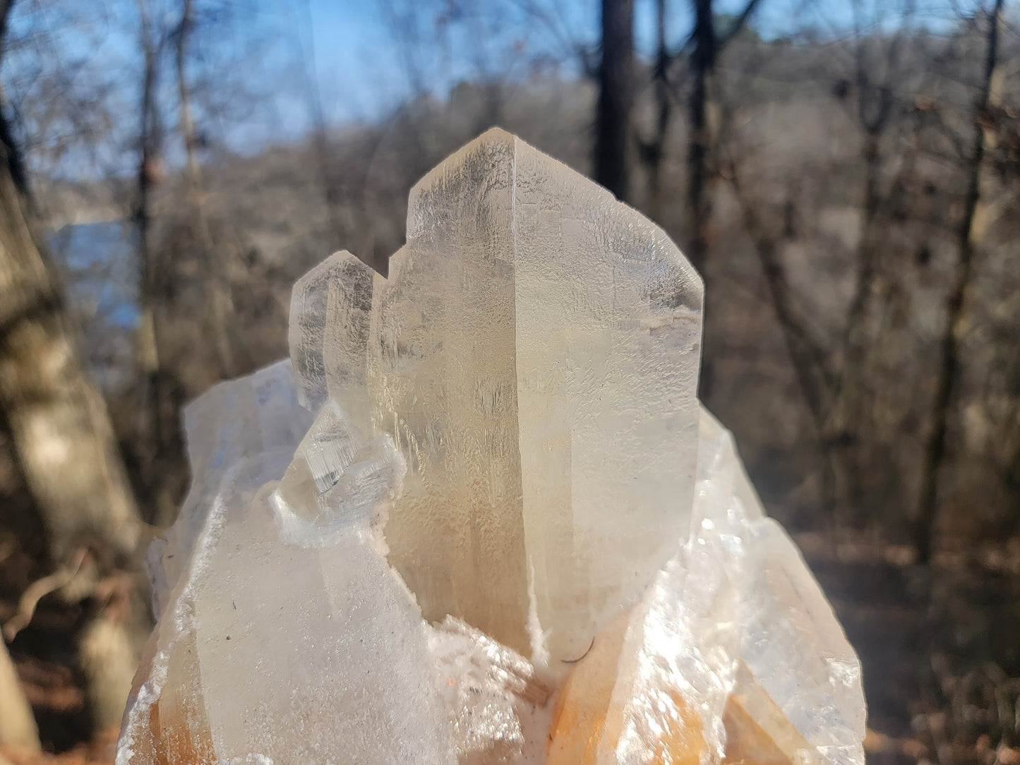 Golden Phantom Selenite Crystal Cluster || Sacral Selenite || Utah Selenite Cluster || Master Healer Crystal