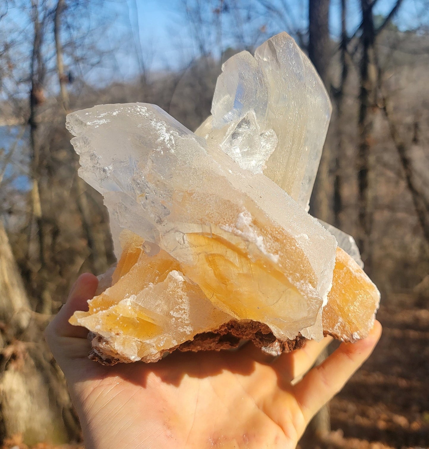 Golden Phantom Selenite Crystal Cluster || Sacral Selenite || Utah Selenite Cluster || Master Healer Crystal