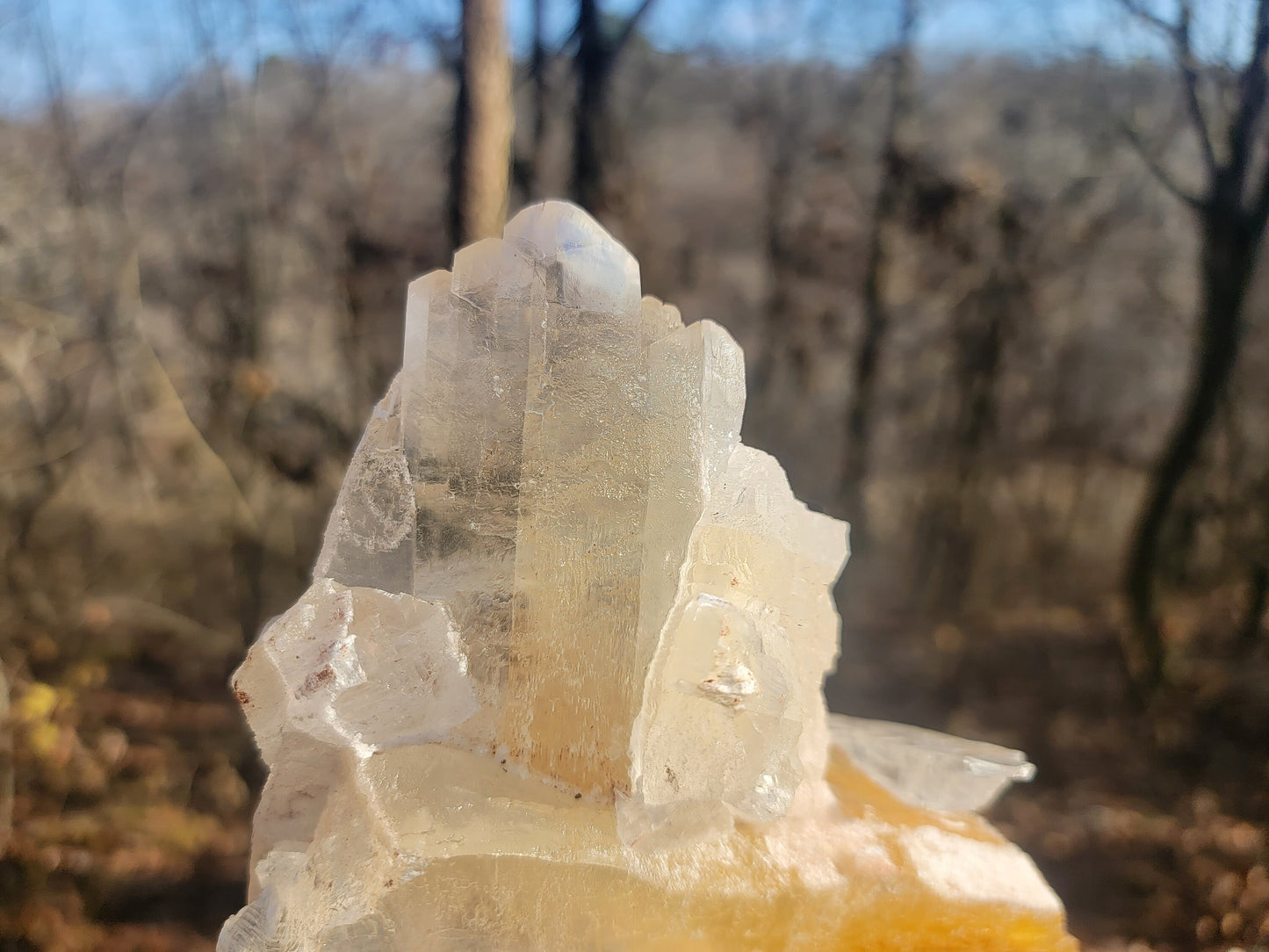 Golden Phantom Selenite Crystal Cluster || Sacral Selenite || Utah Selenite Cluster || Master Healer Crystal