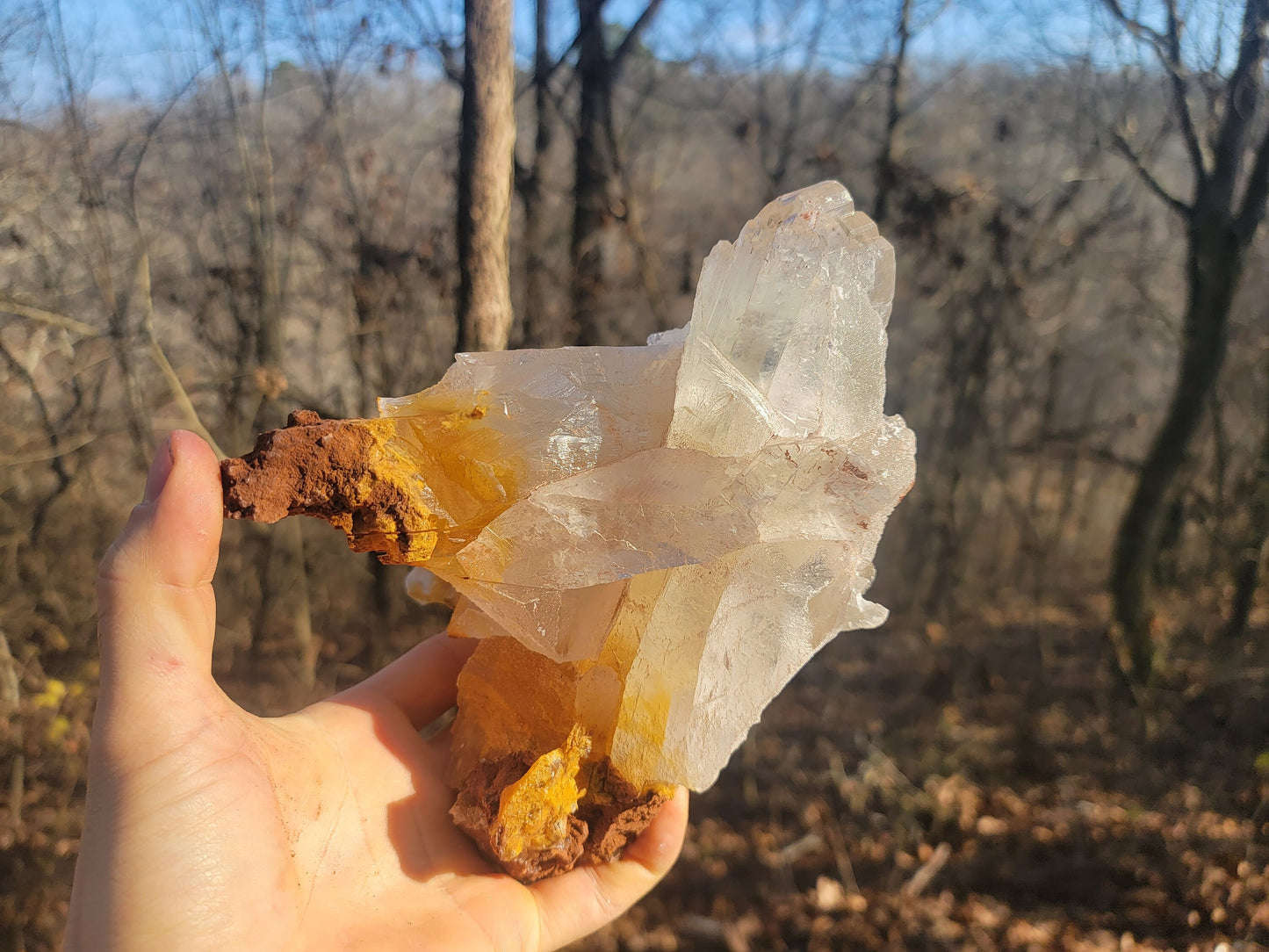 Golden Phantom Selenite Crystal Cluster || Sacral Selenite || Utah Selenite Cluster || Master Healer Crystal