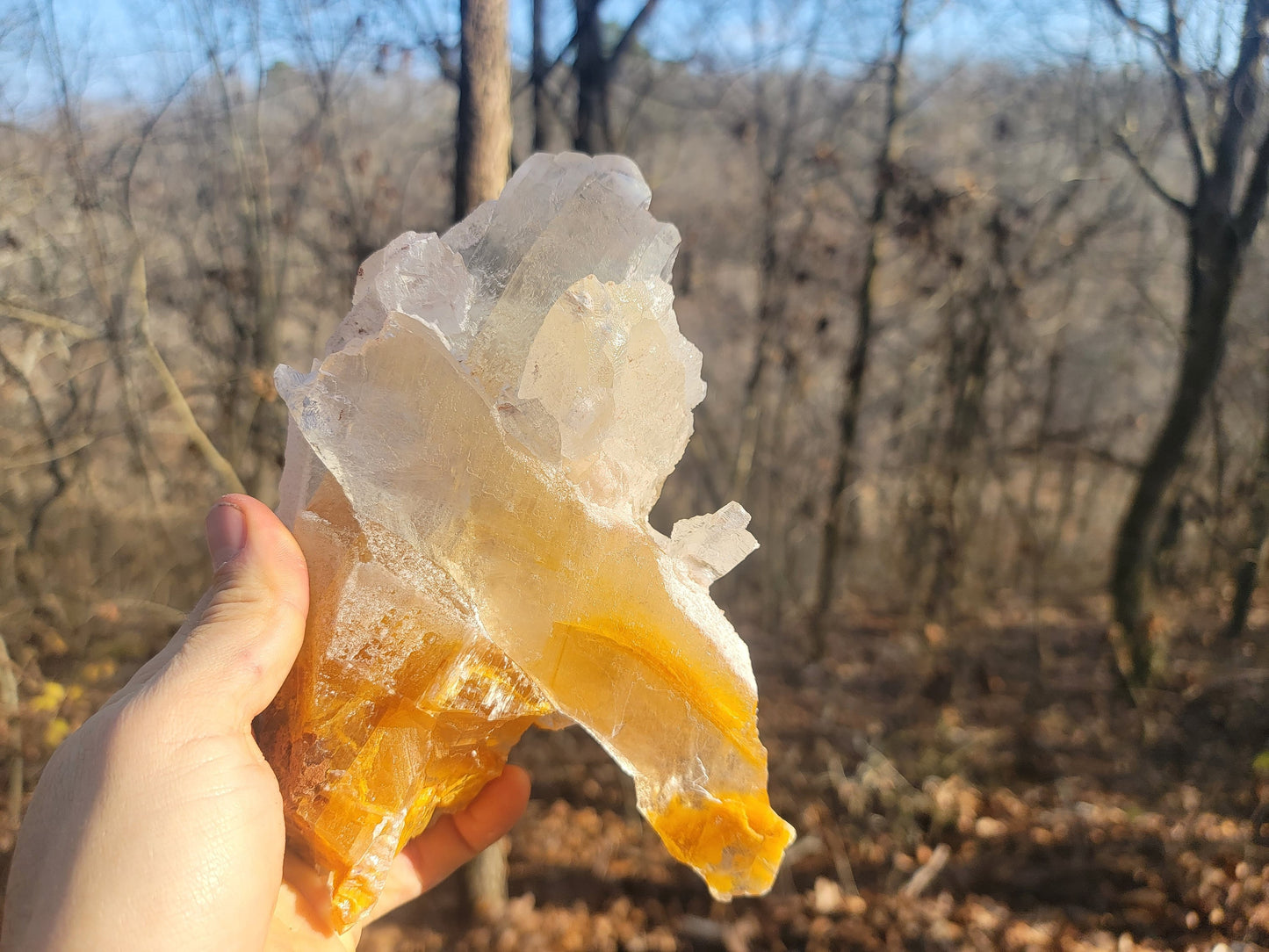 Golden Phantom Selenite Crystal Cluster || Sacral Selenite || Utah Selenite Cluster || Master Healer Crystal