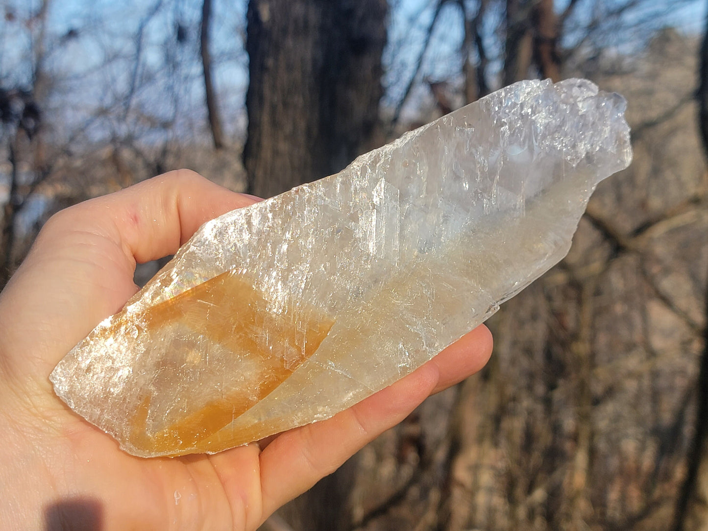 Golden Phantom Selenite Crystal Cluster || Sacral Selenite || Utah Selenite Slices || Master Healer Crystal