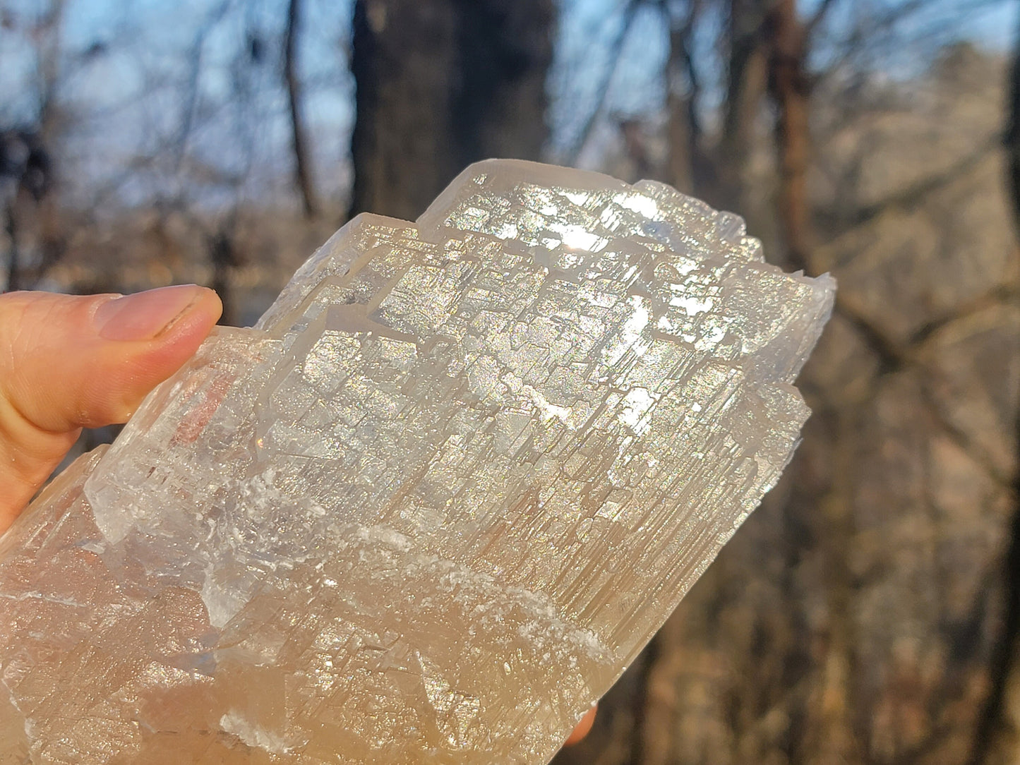 Golden Phantom Selenite Crystal Cluster || Sacral Selenite || Utah Selenite Slices || Master Healer Crystal