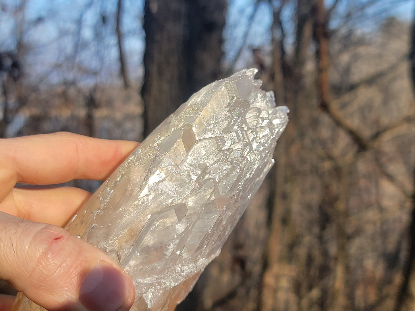 Golden Phantom Selenite Crystal Cluster || Sacral Selenite || Utah Selenite Slices || Master Healer Crystal