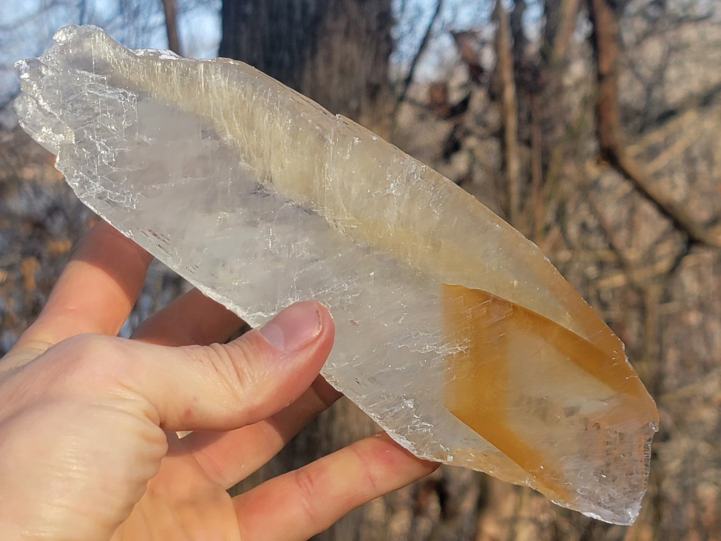 Golden Phantom Selenite Crystal Cluster || Sacral Selenite || Utah Selenite Slices || Master Healer Crystal