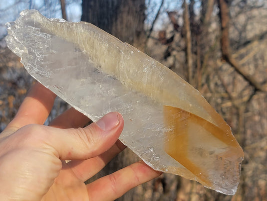 Golden Phantom Selenite Crystal Cluster || Sacral Selenite || Utah Selenite Slices || Master Healer Crystal