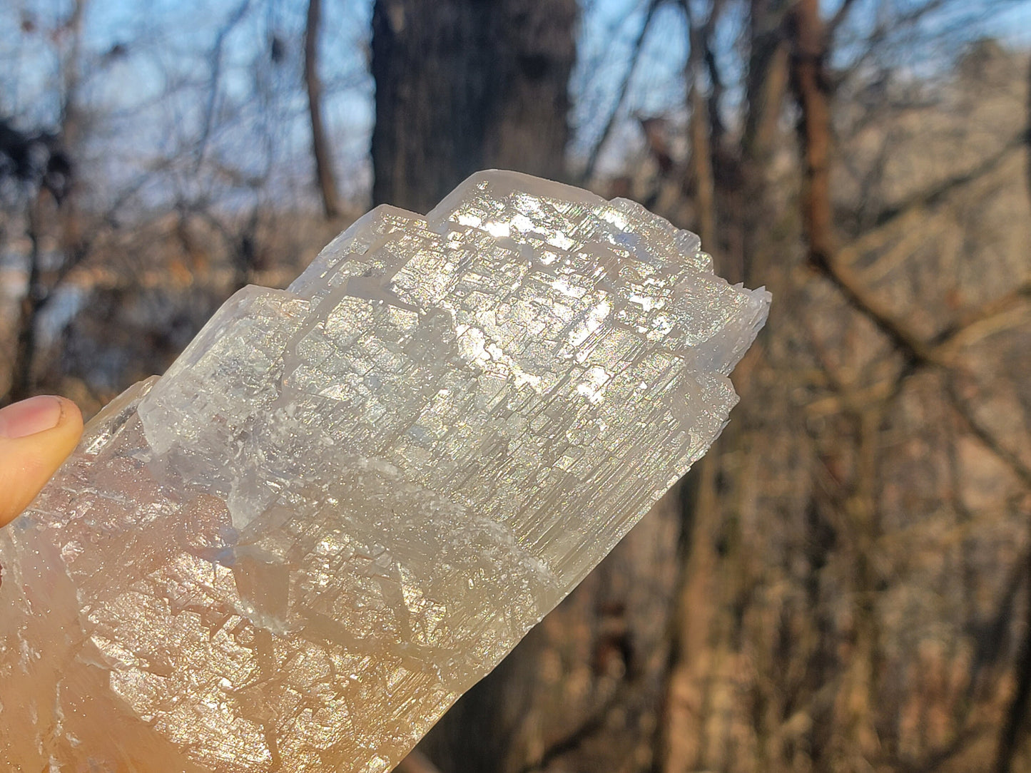 Golden Phantom Selenite Crystal Cluster || Sacral Selenite || Utah Selenite Slices || Master Healer Crystal