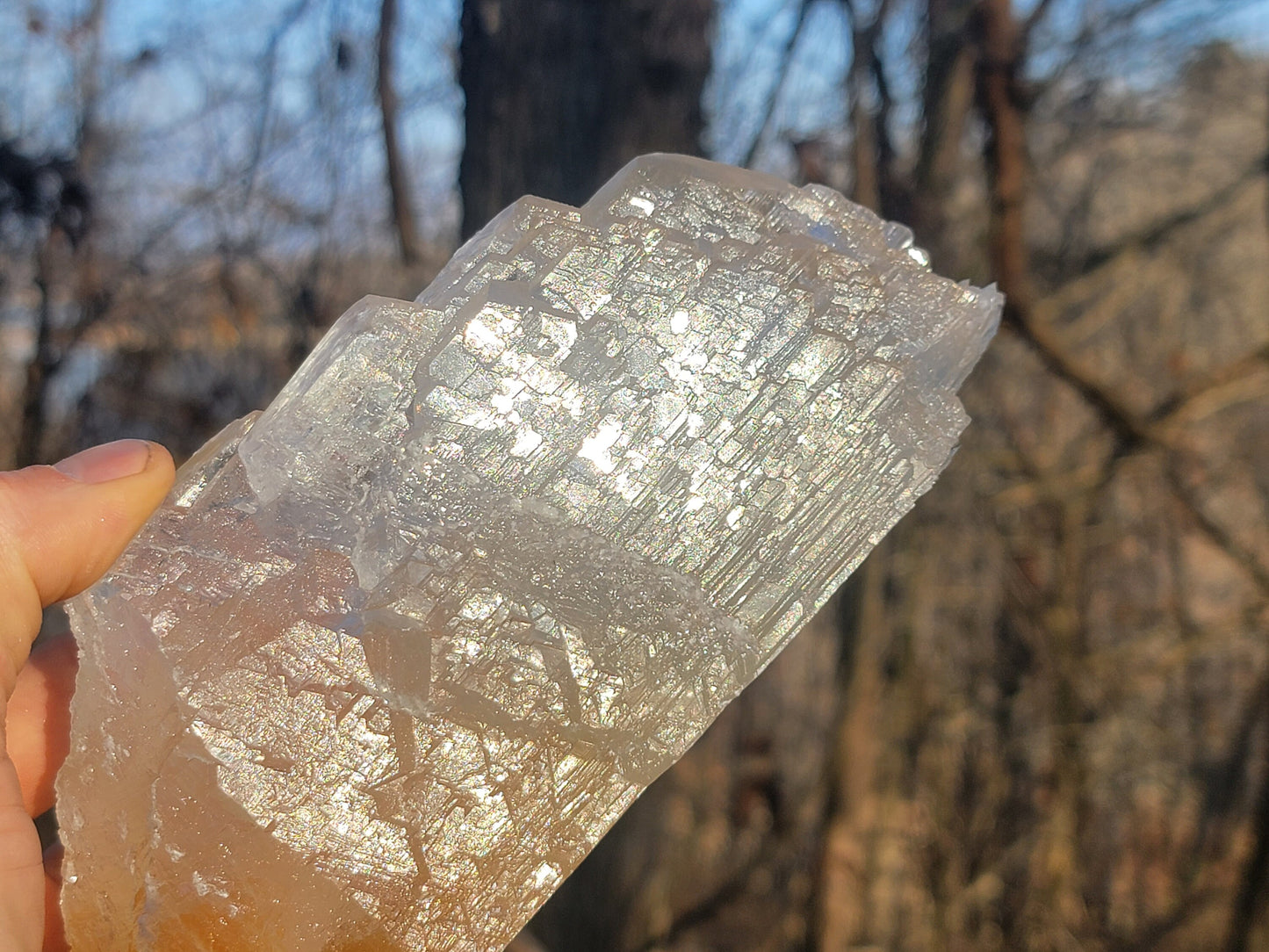 Golden Phantom Selenite Crystal Cluster || Sacral Selenite || Utah Selenite Slices || Master Healer Crystal