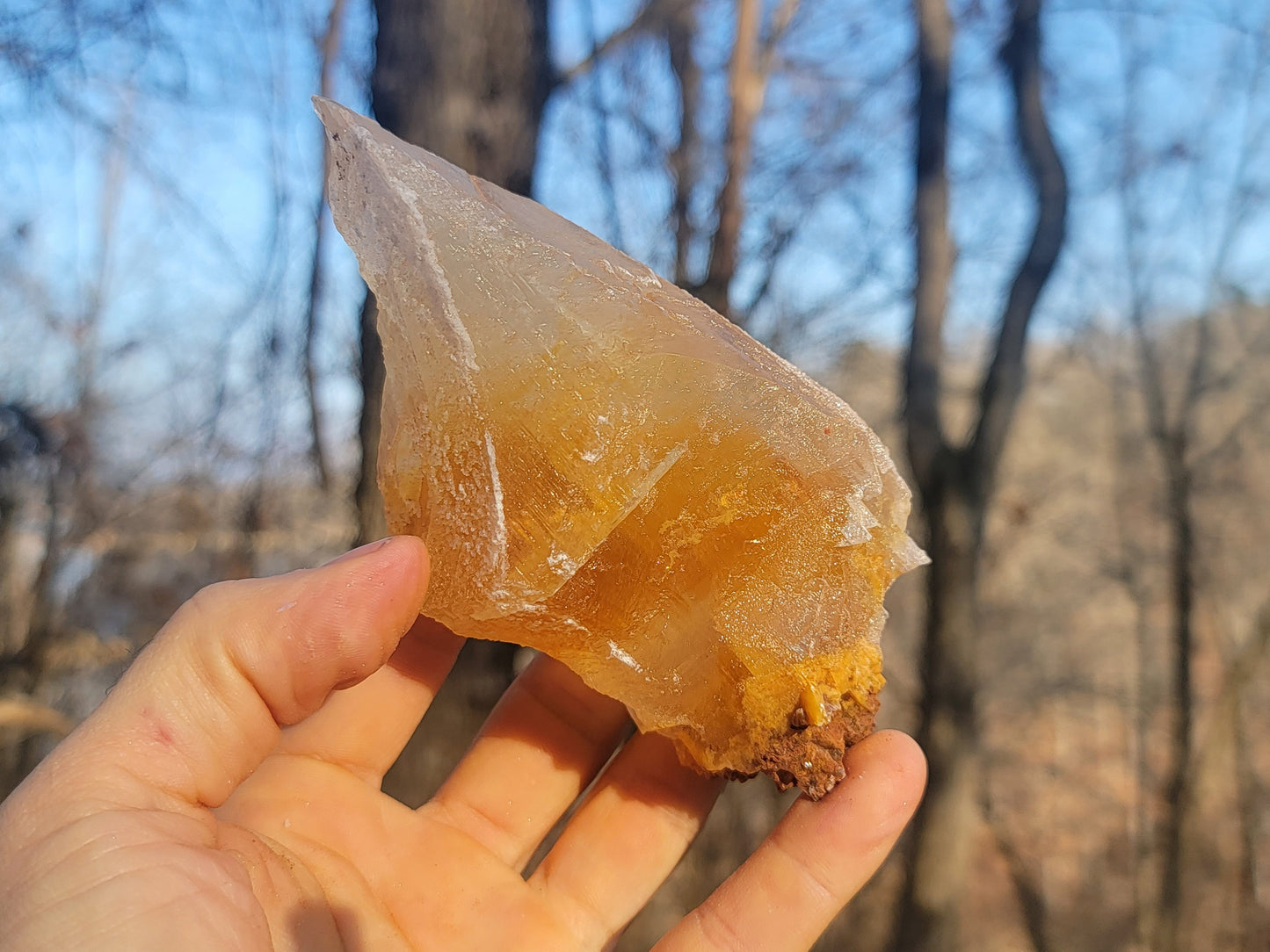 Golden Phantom Selenite Crystal Cluster || Sacral Selenite || Utah Selenite Slices || Master Healer Crystal