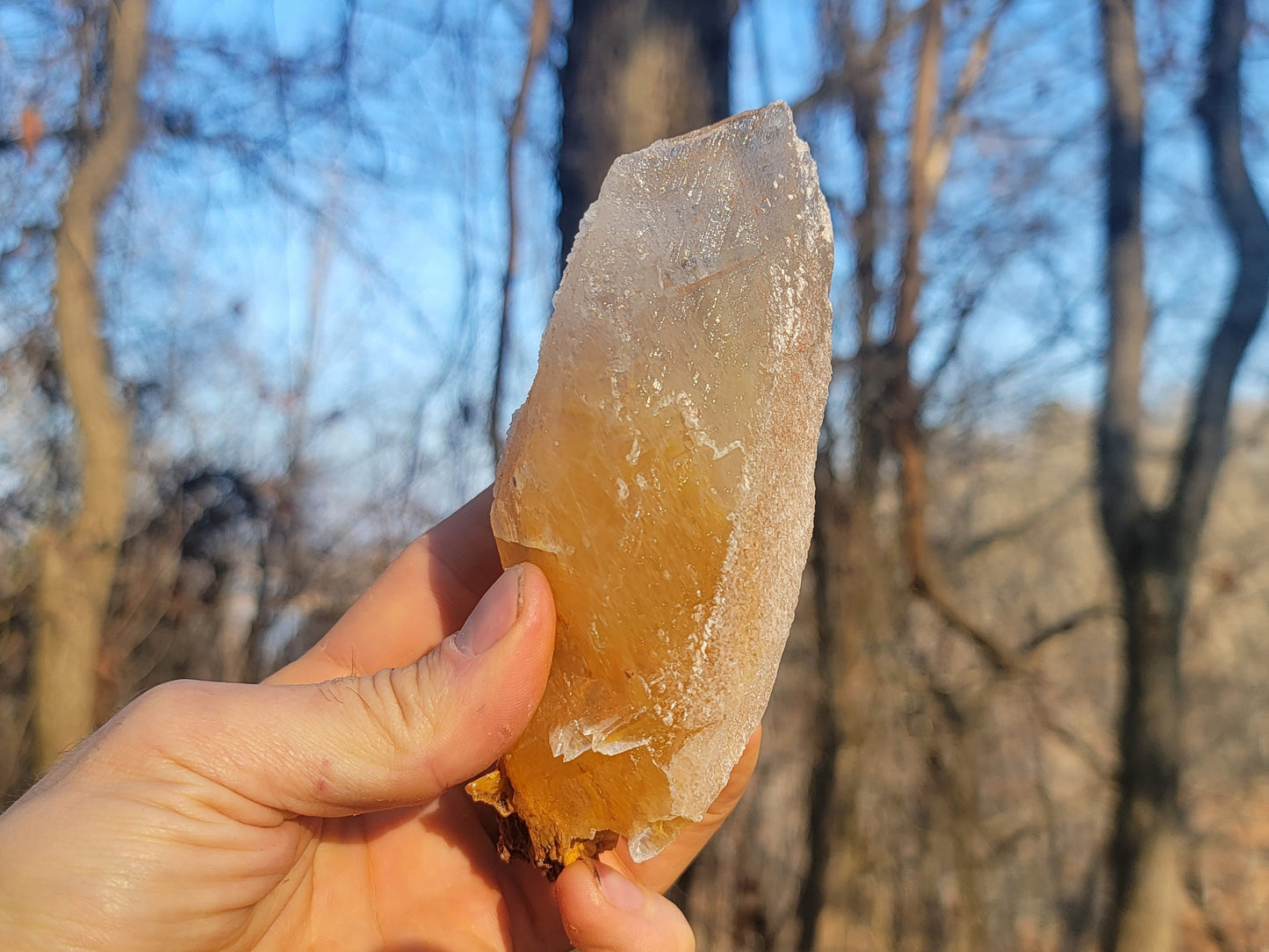 Golden Phantom Selenite Crystal Cluster || Sacral Selenite || Utah Selenite Slices || Master Healer Crystal