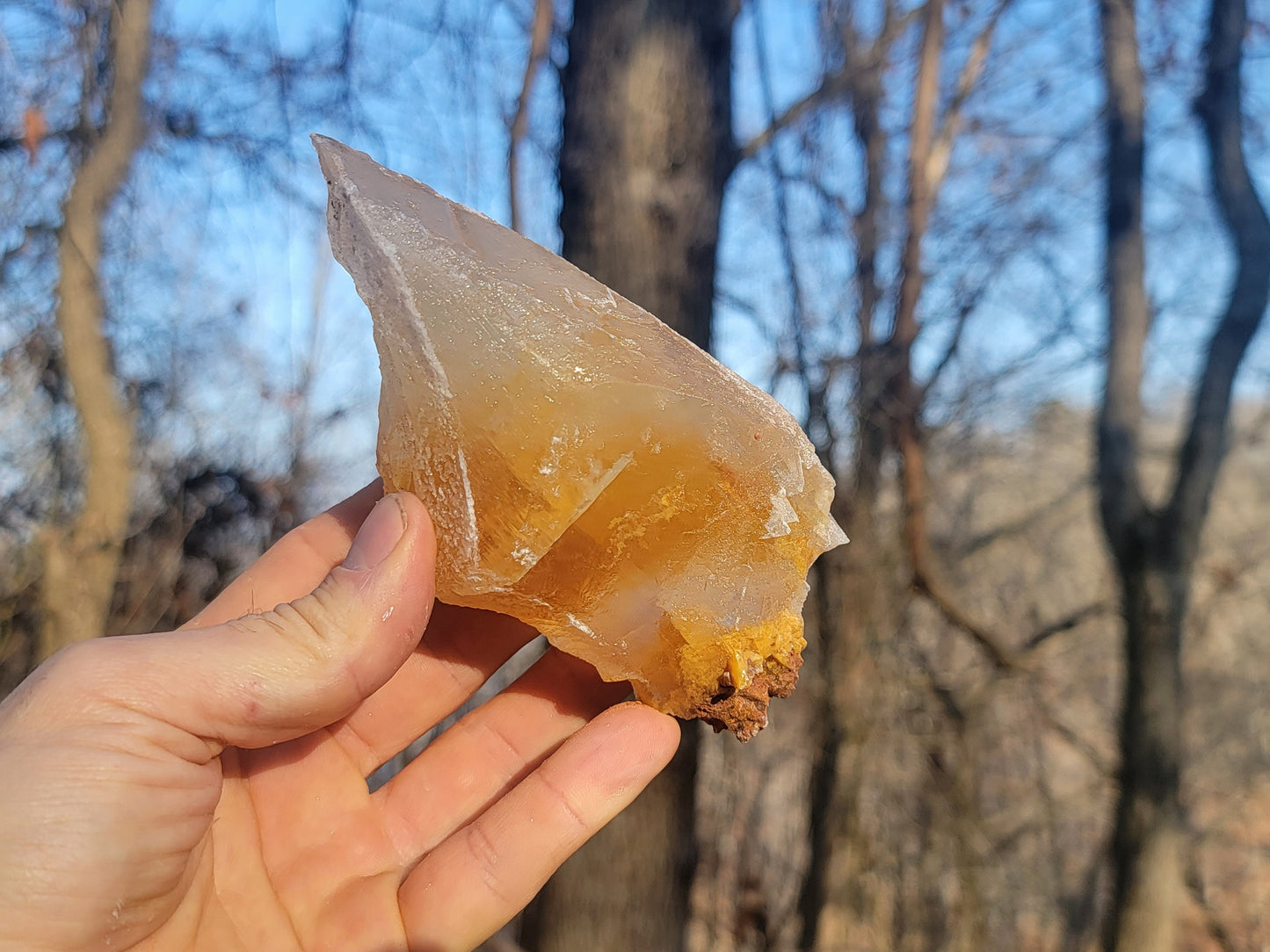 Golden Phantom Selenite Crystal Cluster || Sacral Selenite || Utah Selenite Slices || Master Healer Crystal